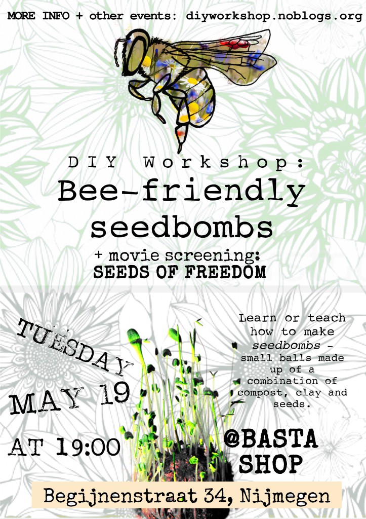 DIYW_Beefriendly seed bombs_flyer